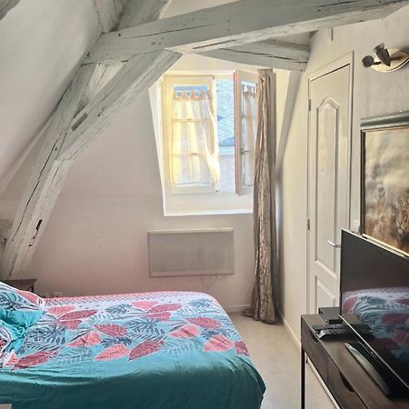 Le Pacific - Appartement Spacieux Centre Ville Орлеан Екстериор снимка