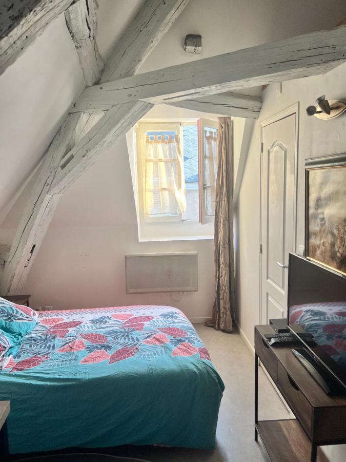 Le Pacific - Appartement Spacieux Centre Ville Орлеан Екстериор снимка